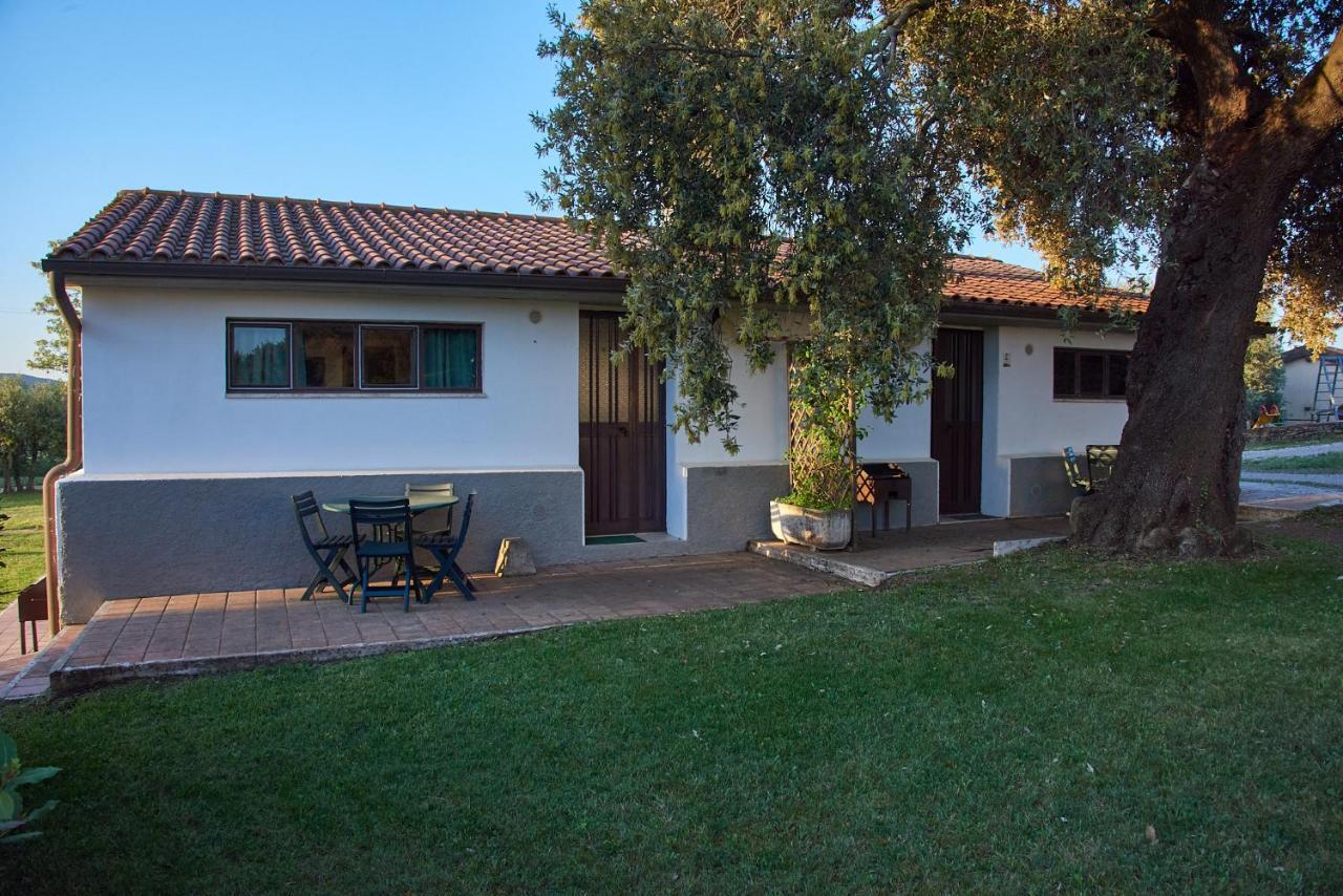 Agriturismo Tesorino Massa Marittima Exterior photo