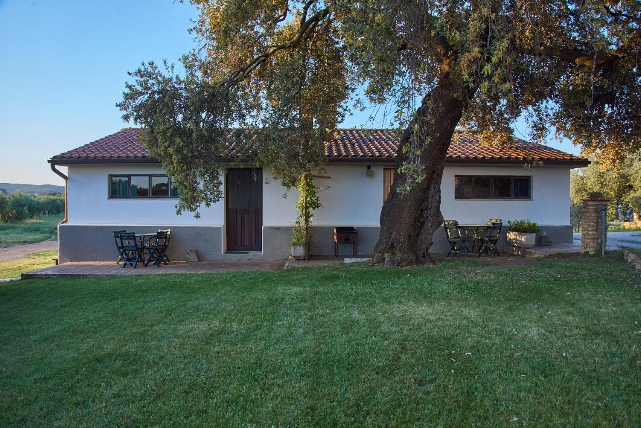 Agriturismo Tesorino Massa Marittima Exterior photo